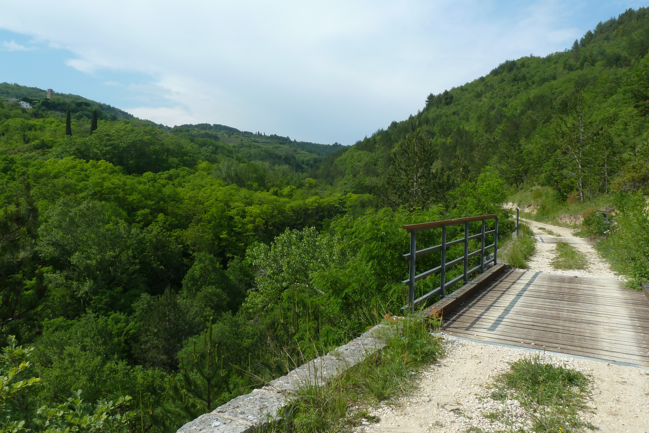 Holzbrücke der Parenzana mit Blick in die bewaldete Schlucht